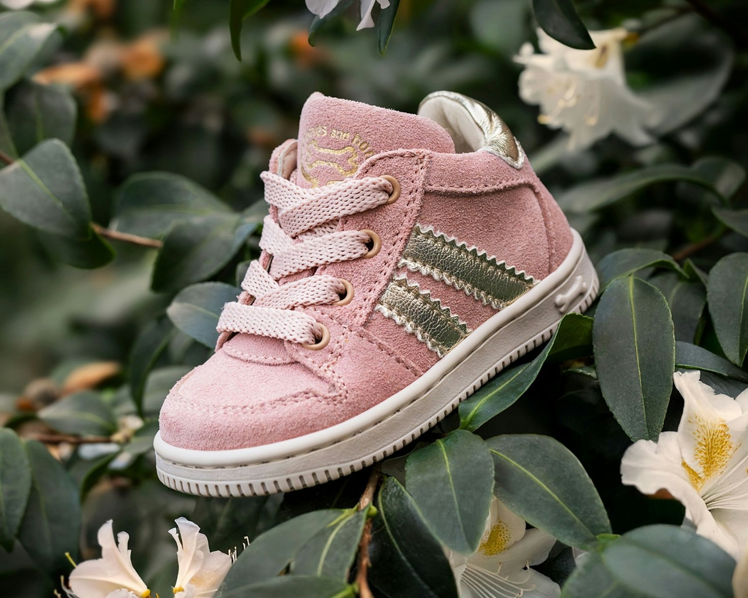 Fun and Stylish Shoe Designs for Every Occasion
